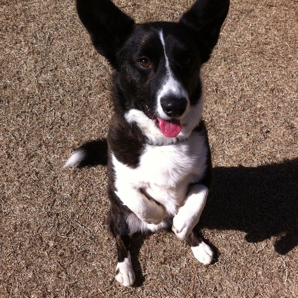 Meet your Posher, Karen - Picture 7 of 8